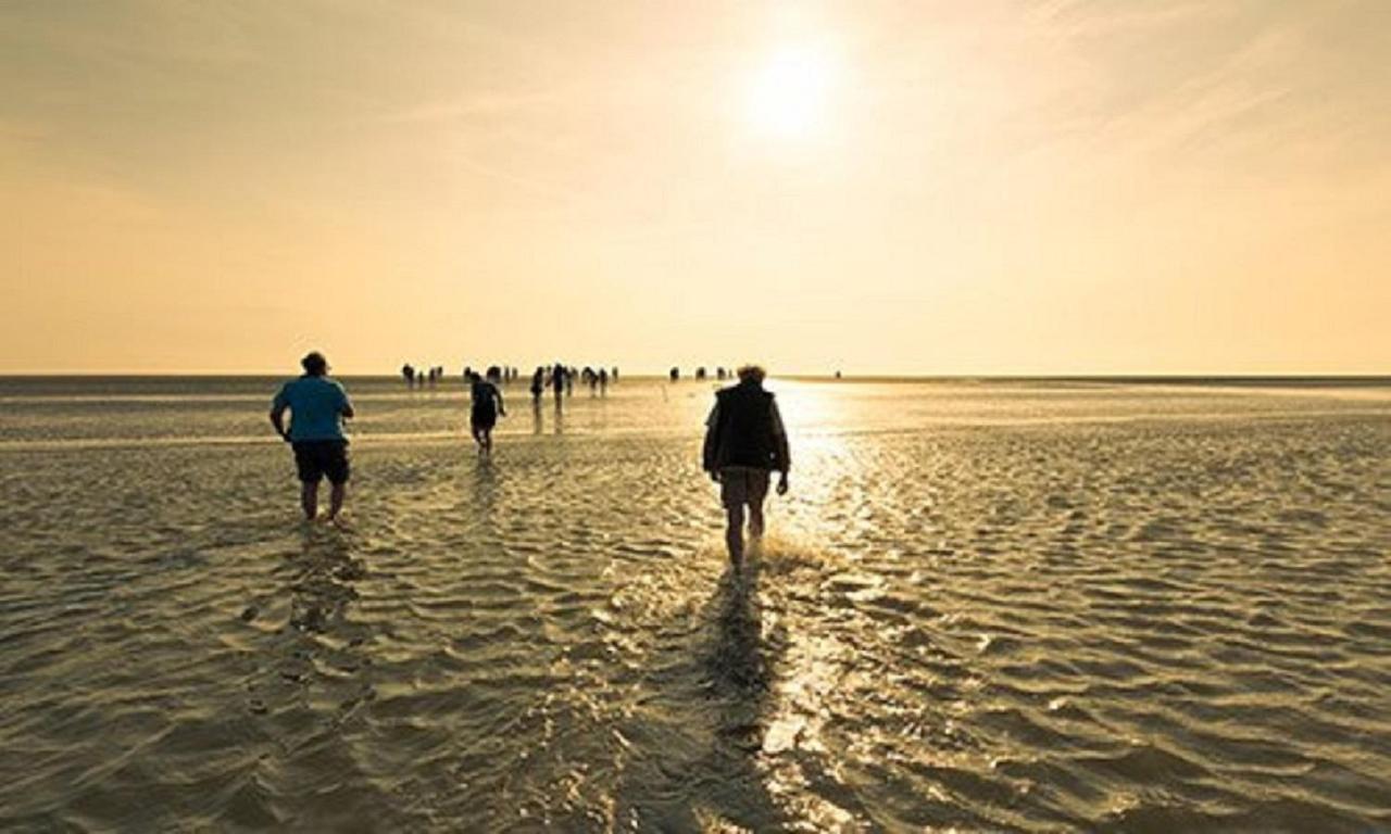 Chalet Op Camping Lauwersoog Met 3 Slaapkamers En Vaatwasser - Joycasa Екстер'єр фото